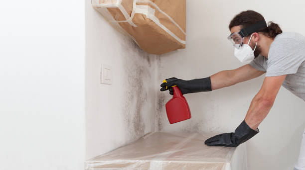 Professional Mold Remediation technician working in Wenham, MA