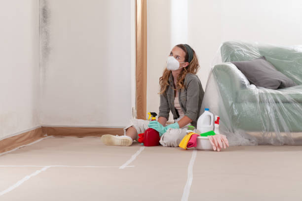 Reliable Mold Remediation contractor in Wenham, MA by 24 Hour Mold Removal